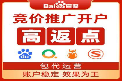 行业领先的SEM竞价广告投放案例